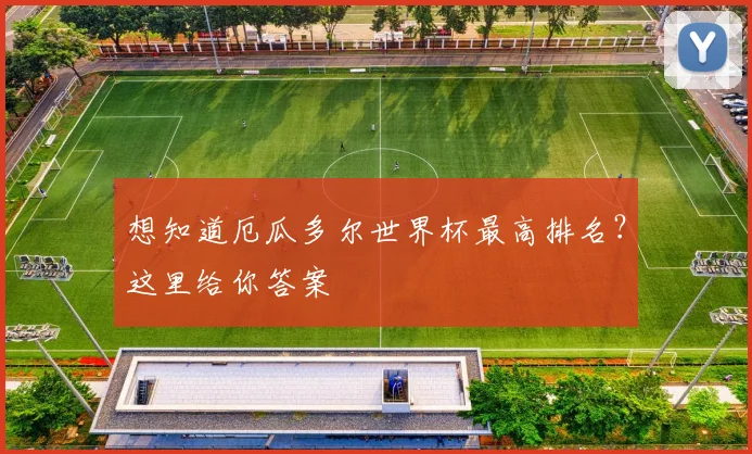 想知道厄瓜多尔世界杯最高排名？这里给你答案