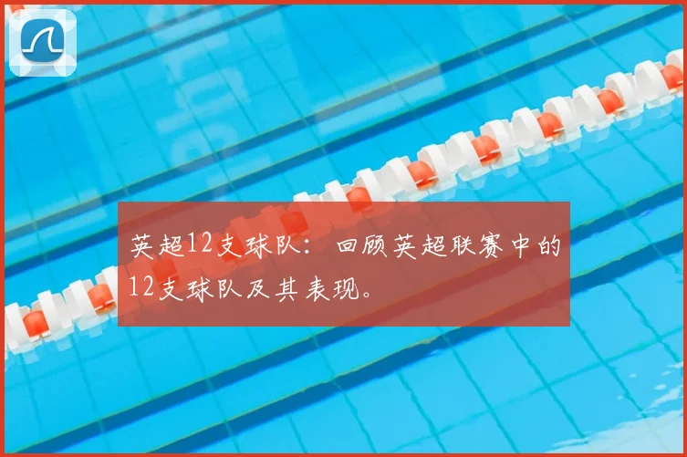 英超12支球队:回顾英超联赛中的12支球队及其表现。