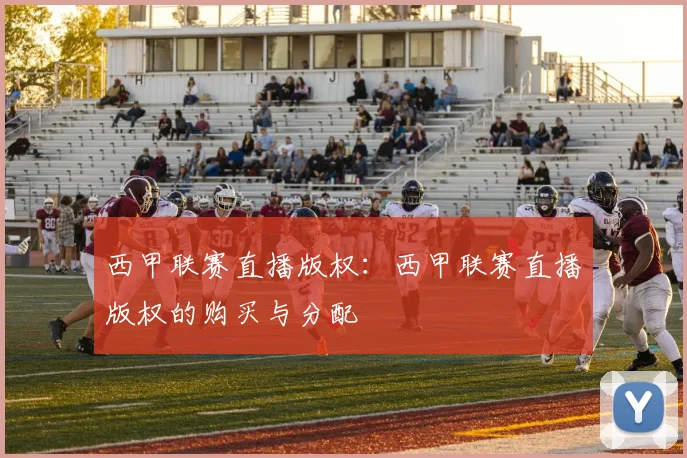 西甲联赛直播版权:西甲联赛直播版权的购买与分配